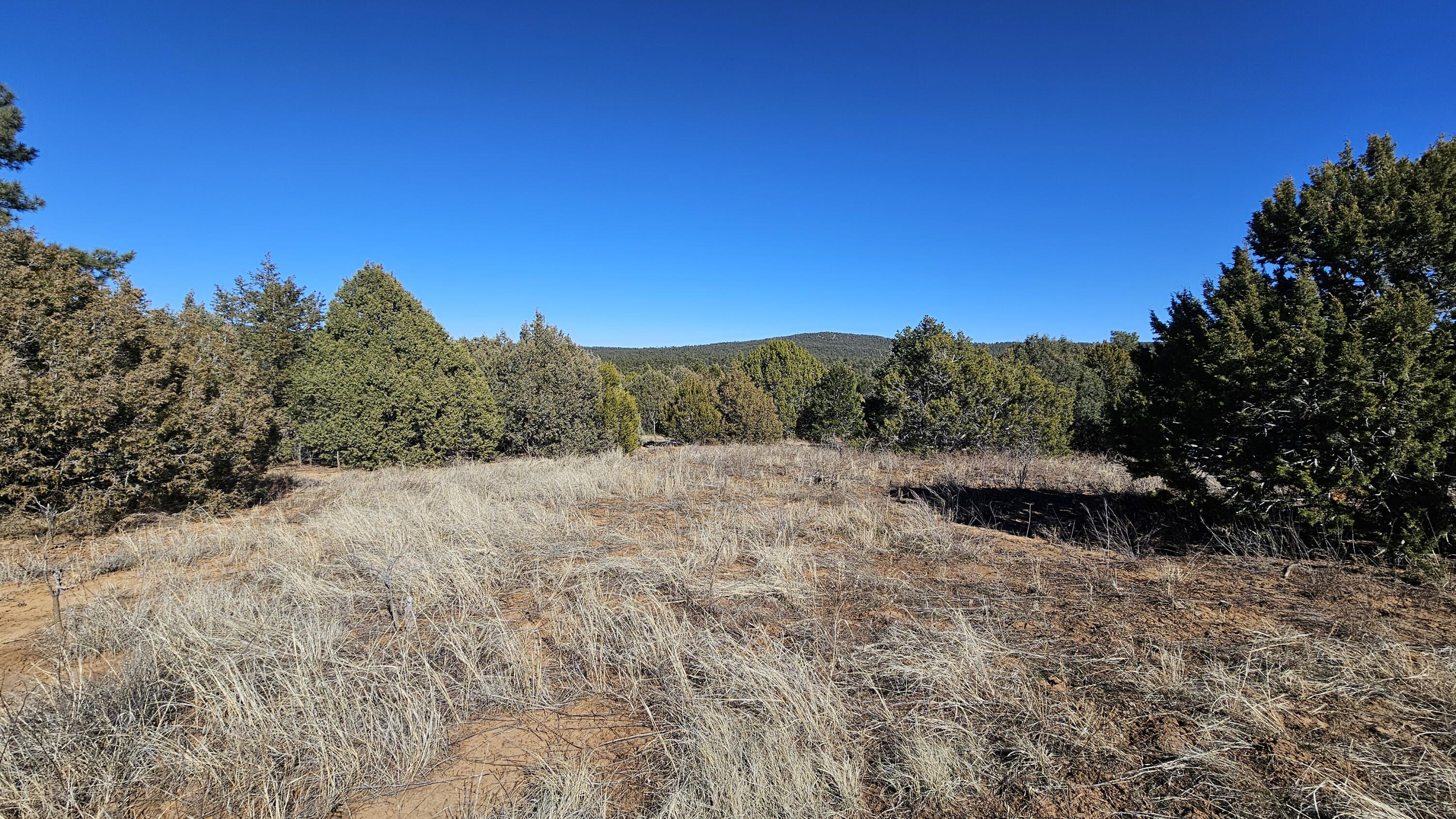 88 & 90 Entrada De Cibola