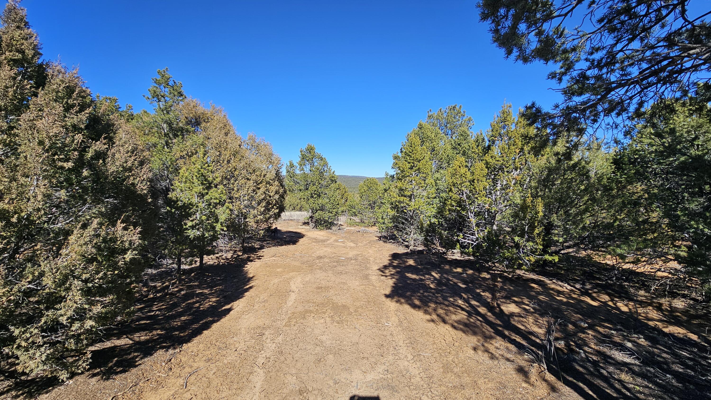 88 & 90 Entrada De Cibola