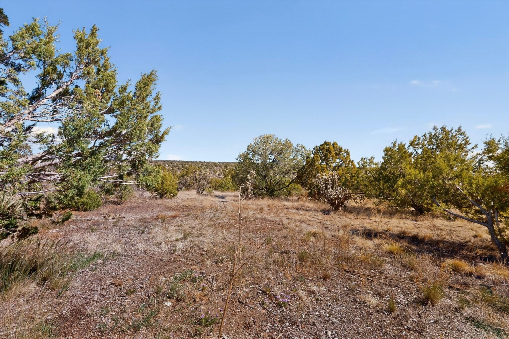 229 Skyline Drive