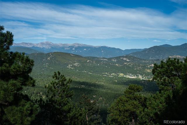 Forested mountain valley with evergreen trees in the foreground and distant peaks.