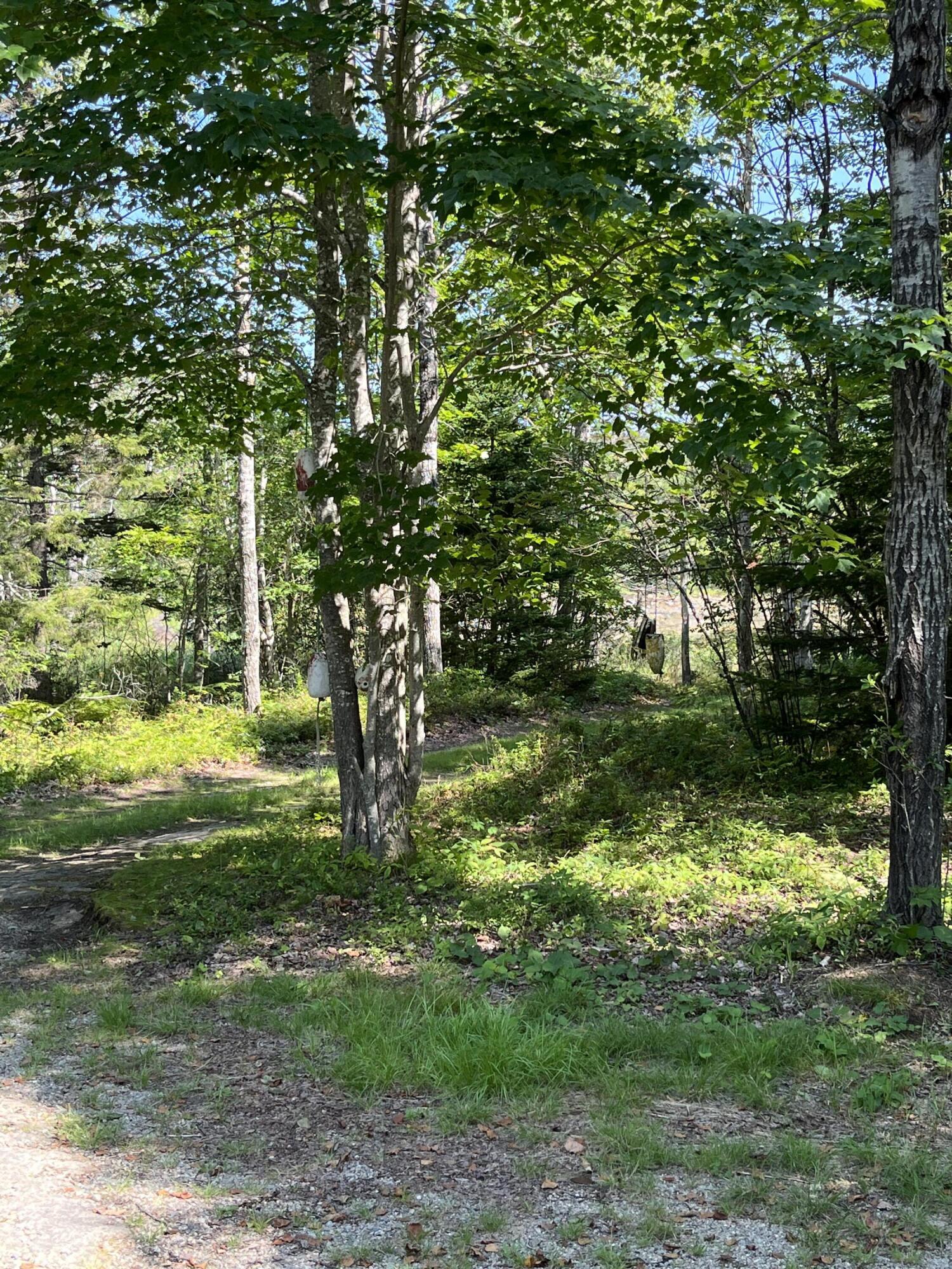 47 Colson Lane