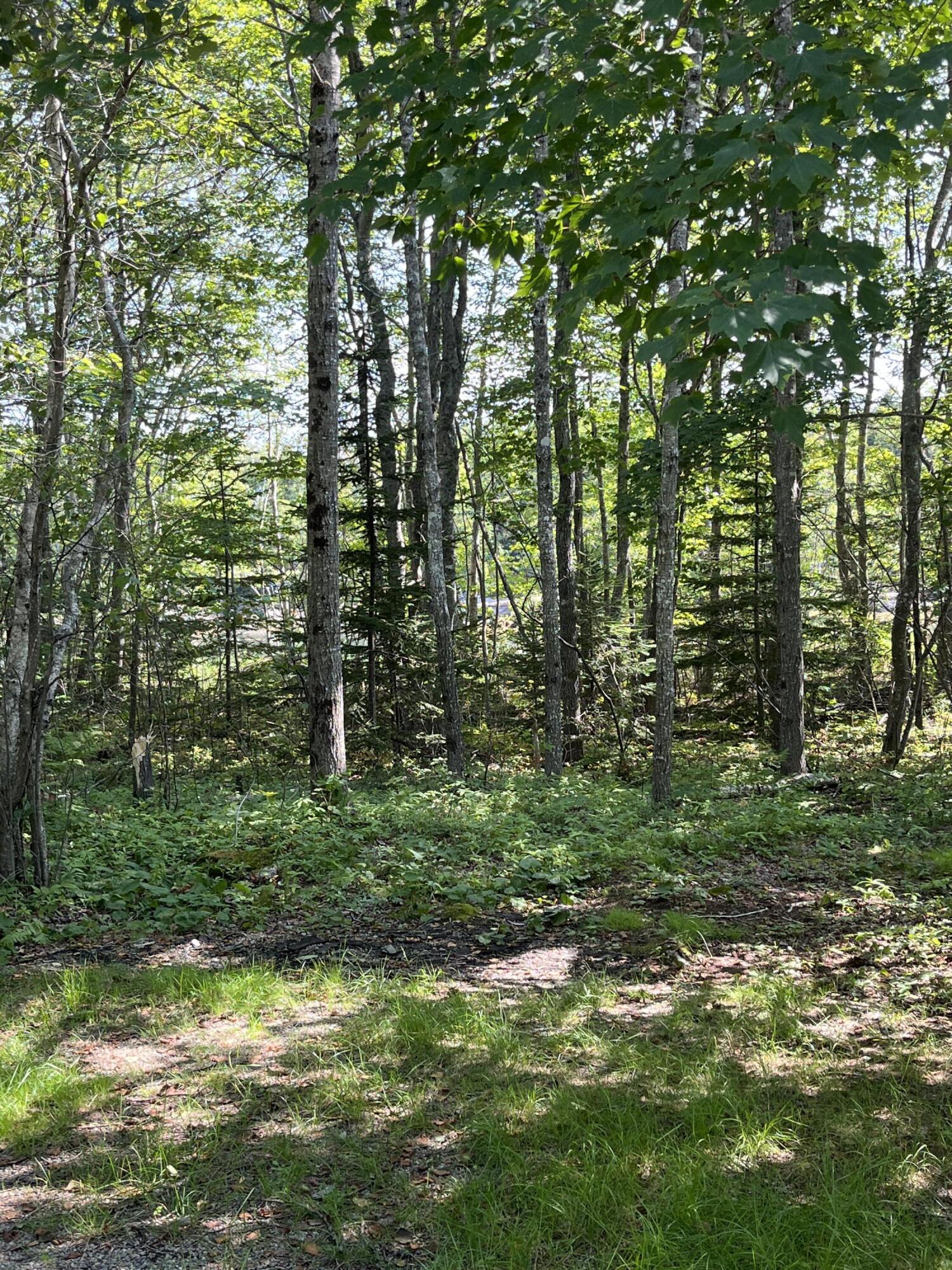 47 Colson Lane
