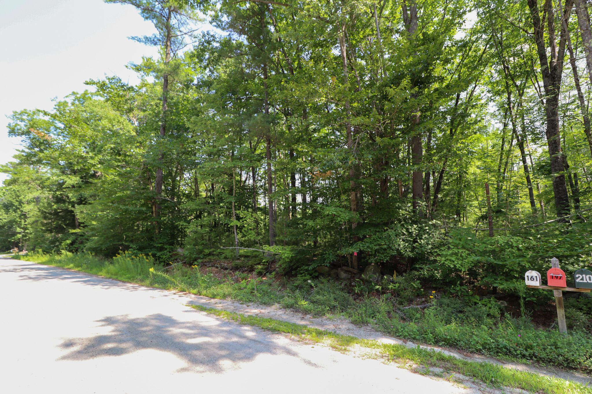 Lot 111 Old Country Way