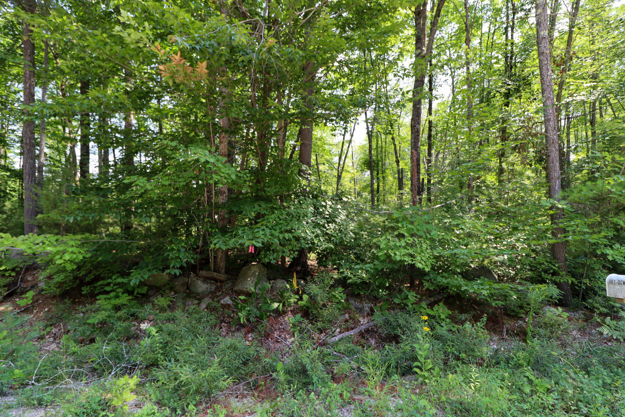 Lot 111 Old Country Way