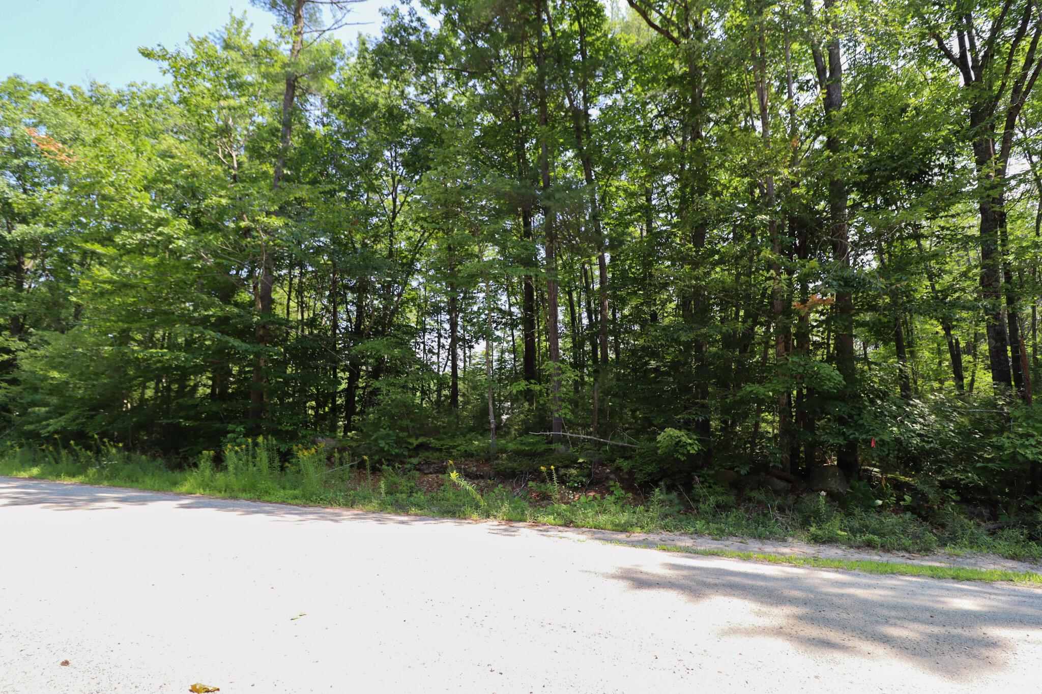 Lot 111 Old Country Way