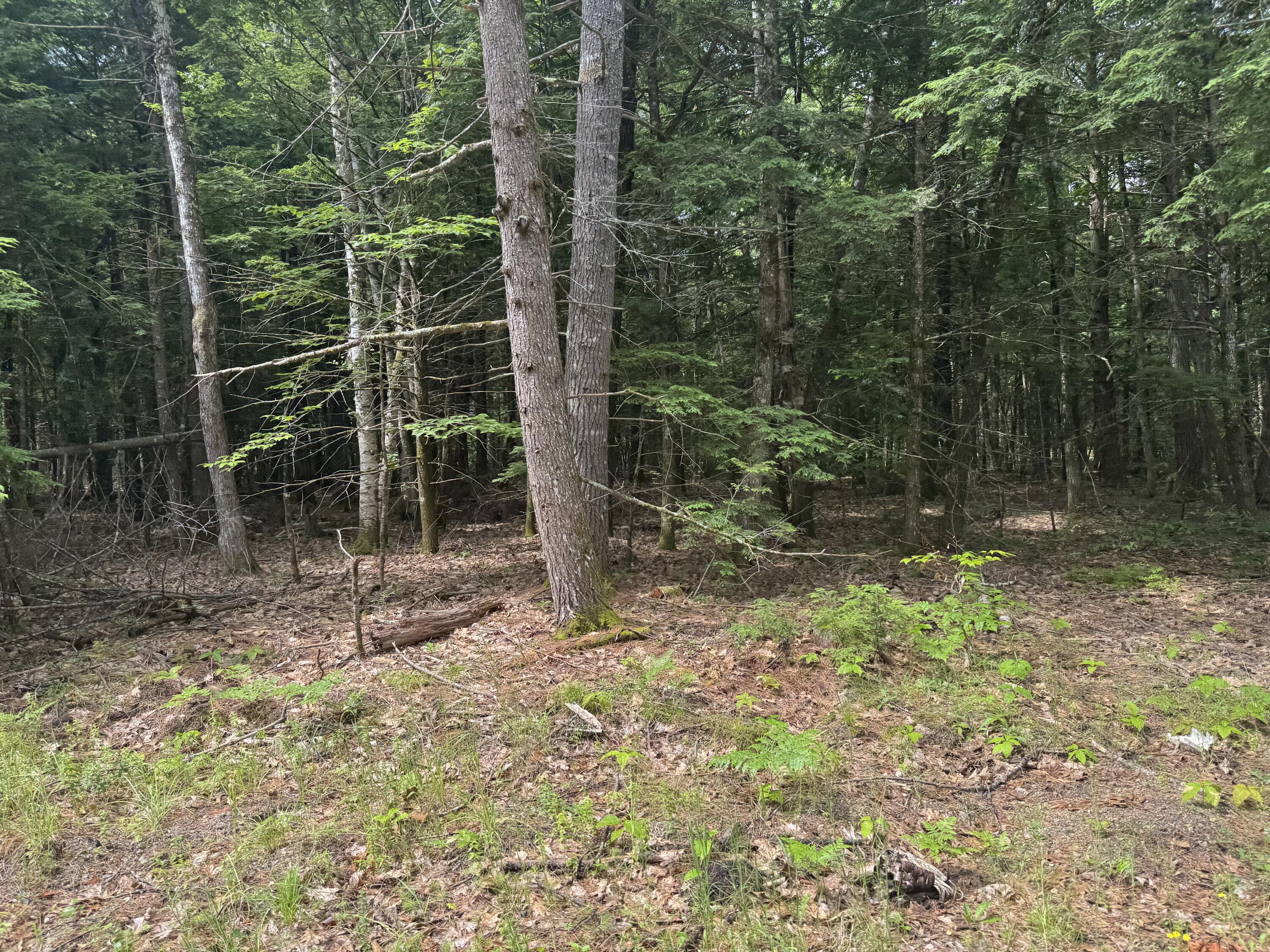 Mp46Lt2017 Island Road