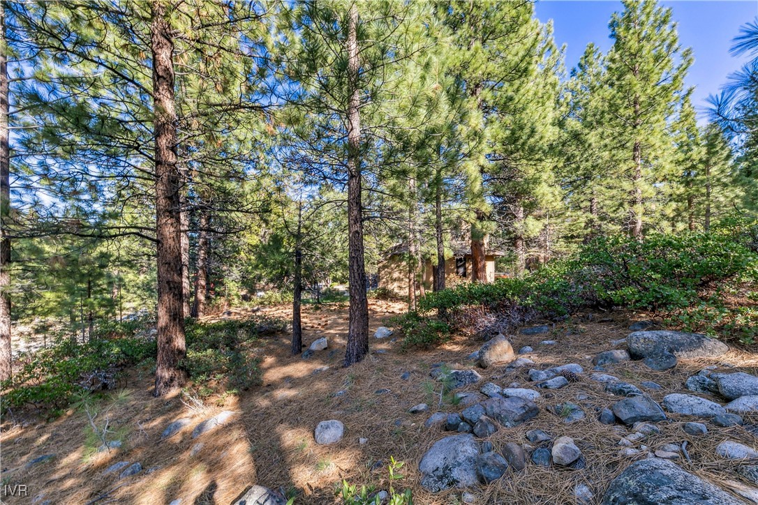 1205 Douglas Fir Drive