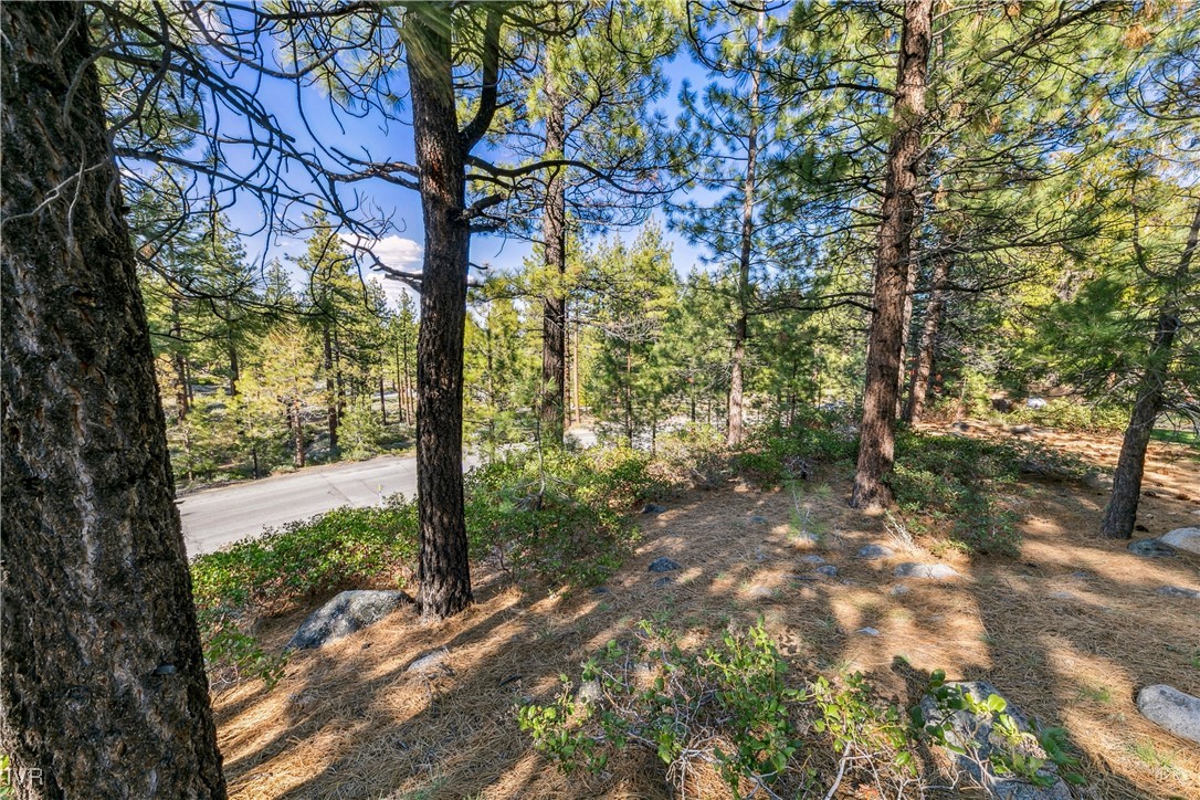 1205 Douglas Fir Drive
