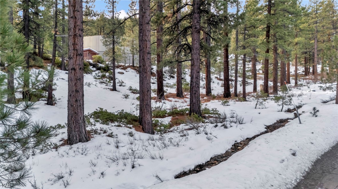 1205 Douglas Fir Drive