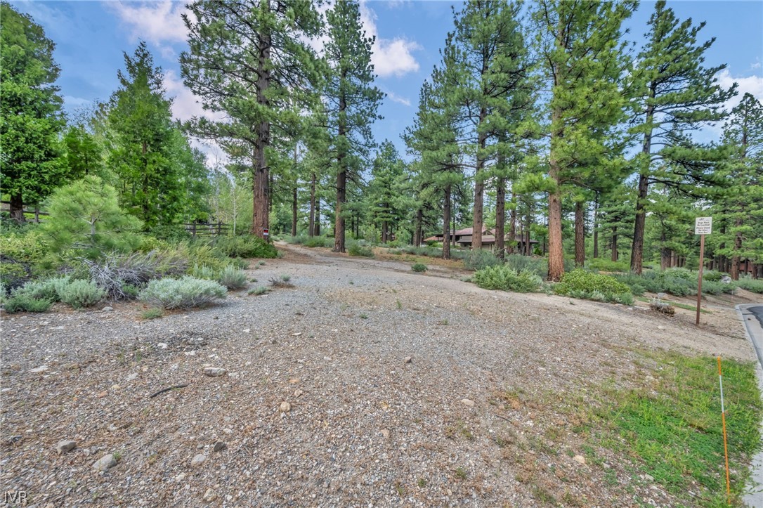 307 E Jeffrey Pine Rd