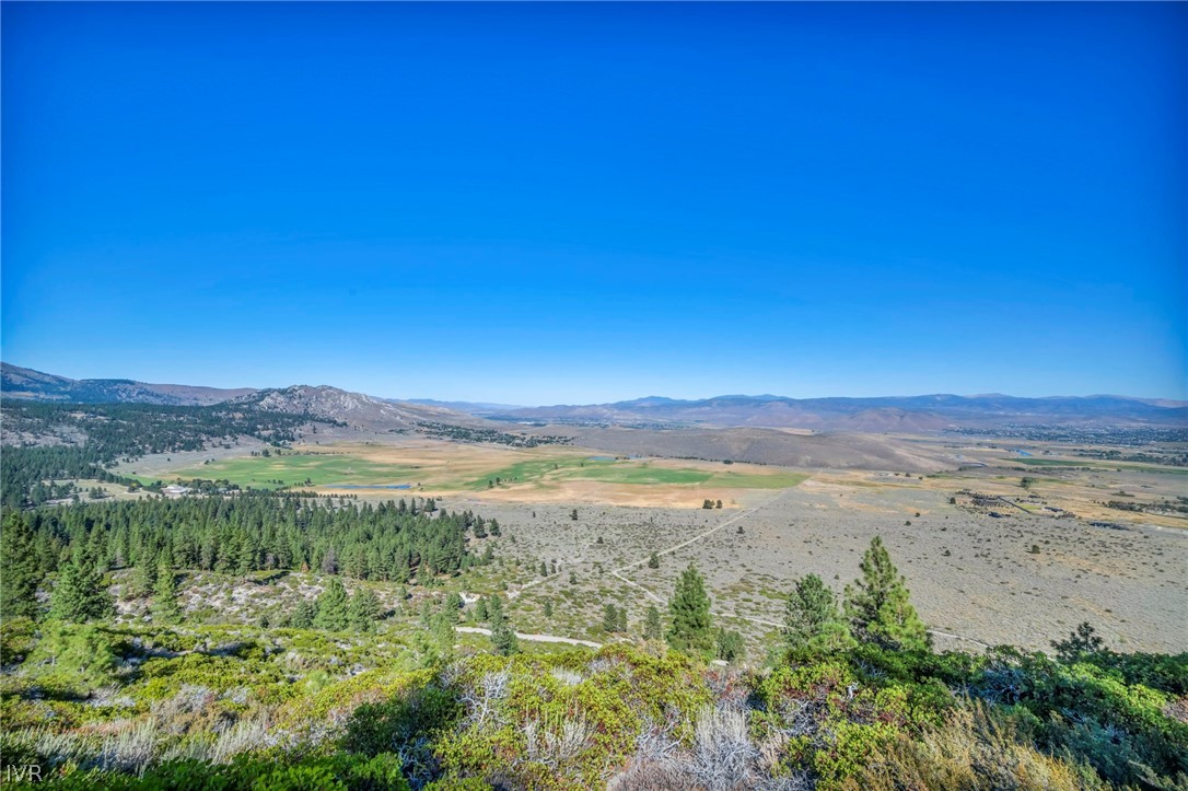 Open land overlooking a wide valley, with foreground trees and distant mountain ranges.
