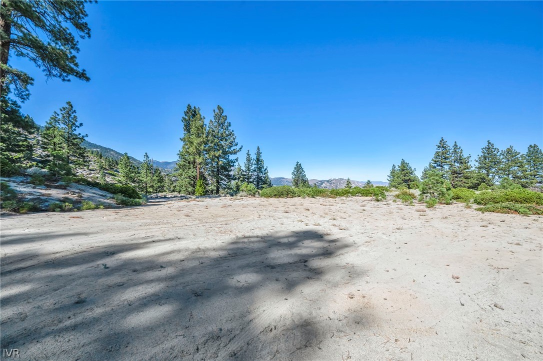 Vacant sandy lot surrounded by pine trees, with mountain ridges in the distance.