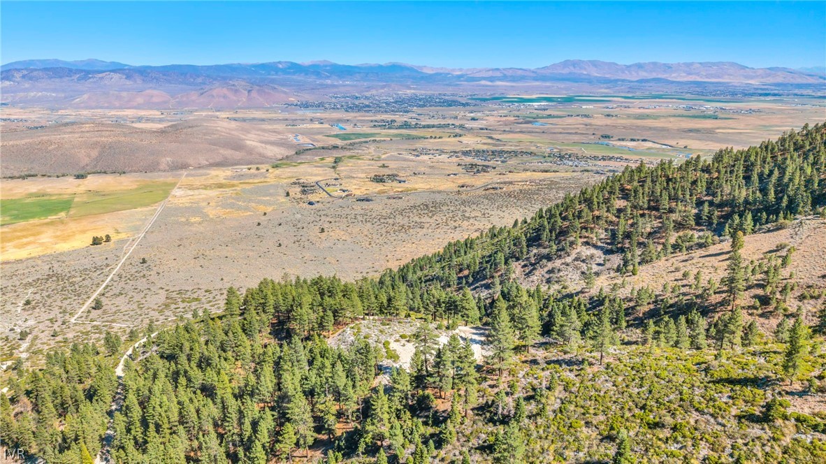 Aerial view of a wooded hillside overlooking an open valley and distant mountains.