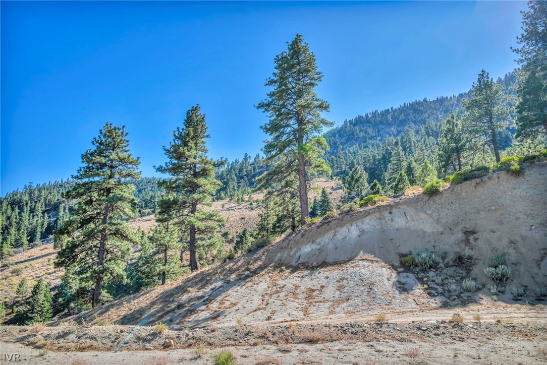 Vacant hillside lot with exposed soil, pine trees, and a forested mountain slope.