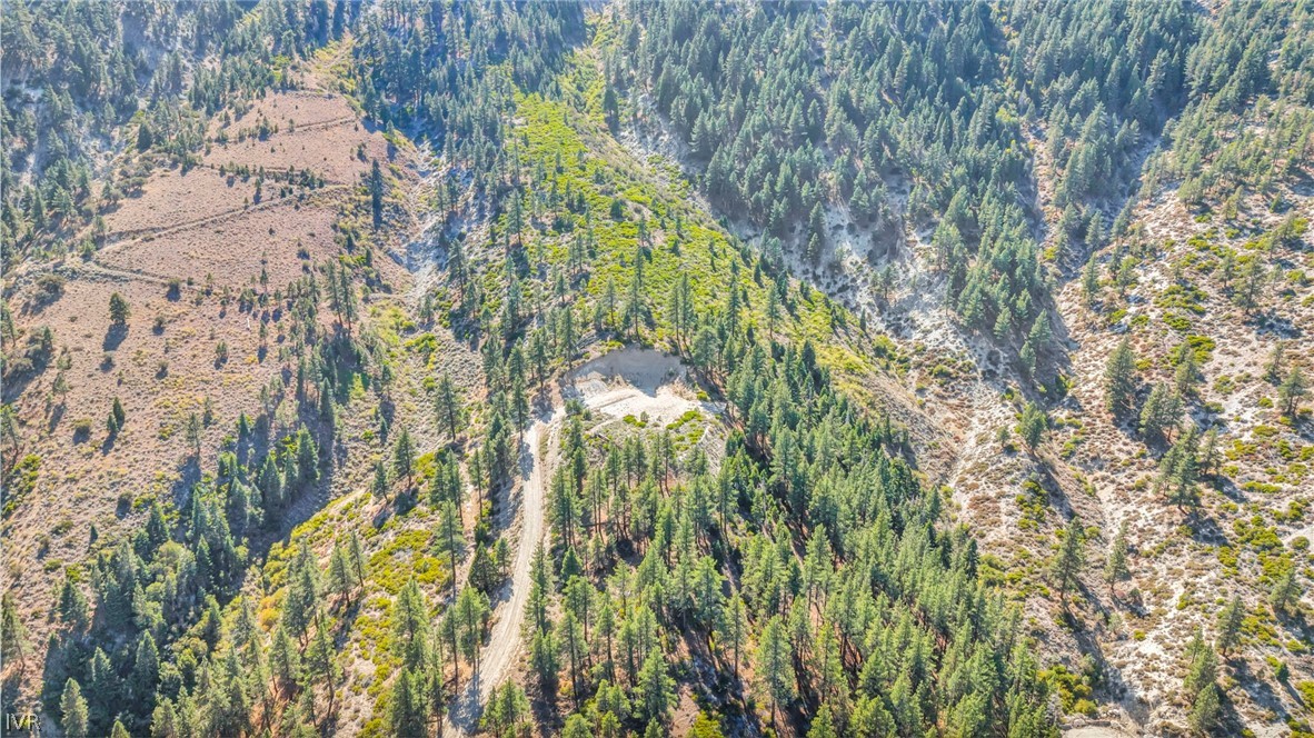 Aerial view of wooded mountain land with a dirt road and a clearing.