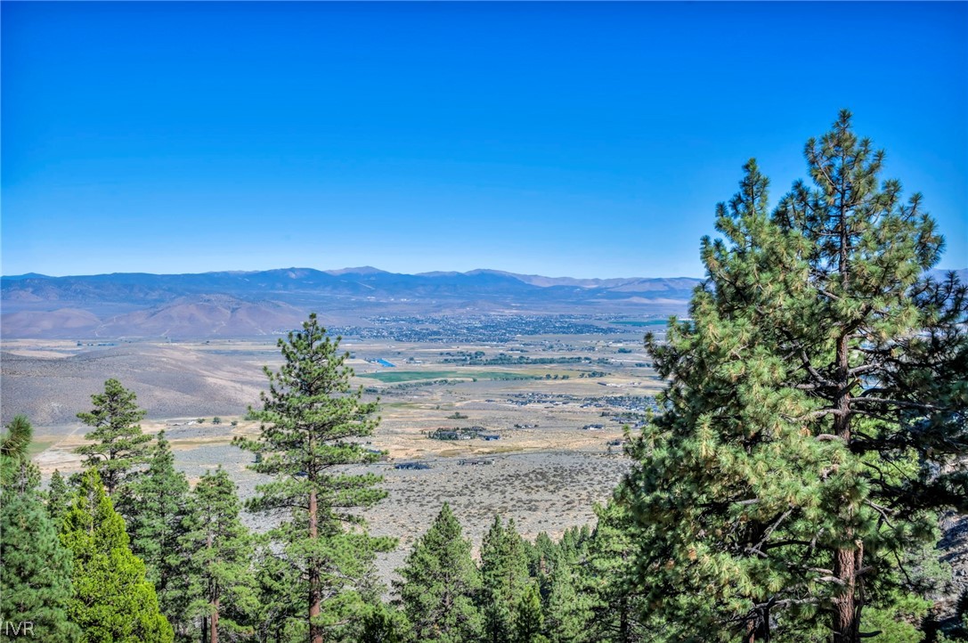 Nevada valley and distant mountains framed by pine trees.