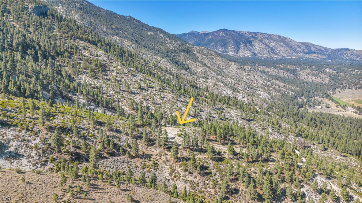 Vacant hillside parcel marked by a yellow arrow, surrounded by pine trees and mountain slopes.