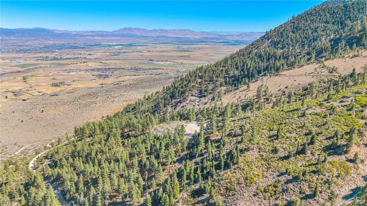 Aerial view of a pine-covered hillside above a wide valley and distant mountains.