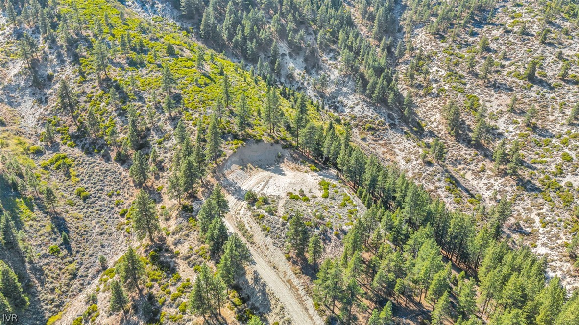 Aerial view of a wooded hillside lot with a cleared area and winding dirt road.