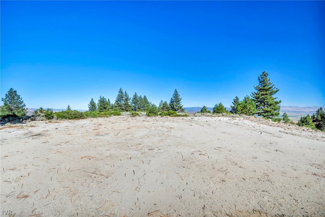 Vacant sandy lot with scattered pine trees and distant mountains.