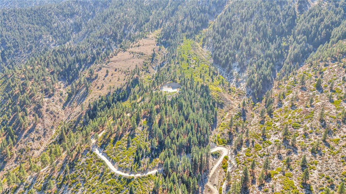 Aerial view of a forested mountainside property with a winding access road and several clearings.