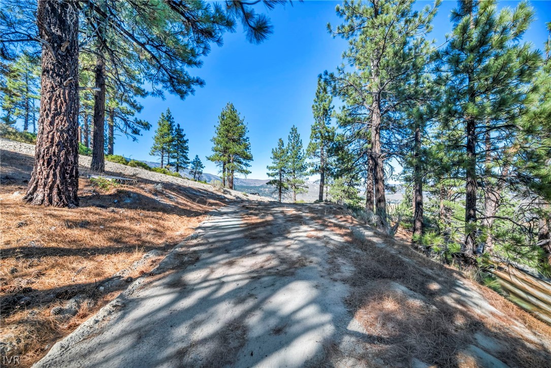 Wooded hillside lot with a winding dirt track, pine trees, and distant mountain views.