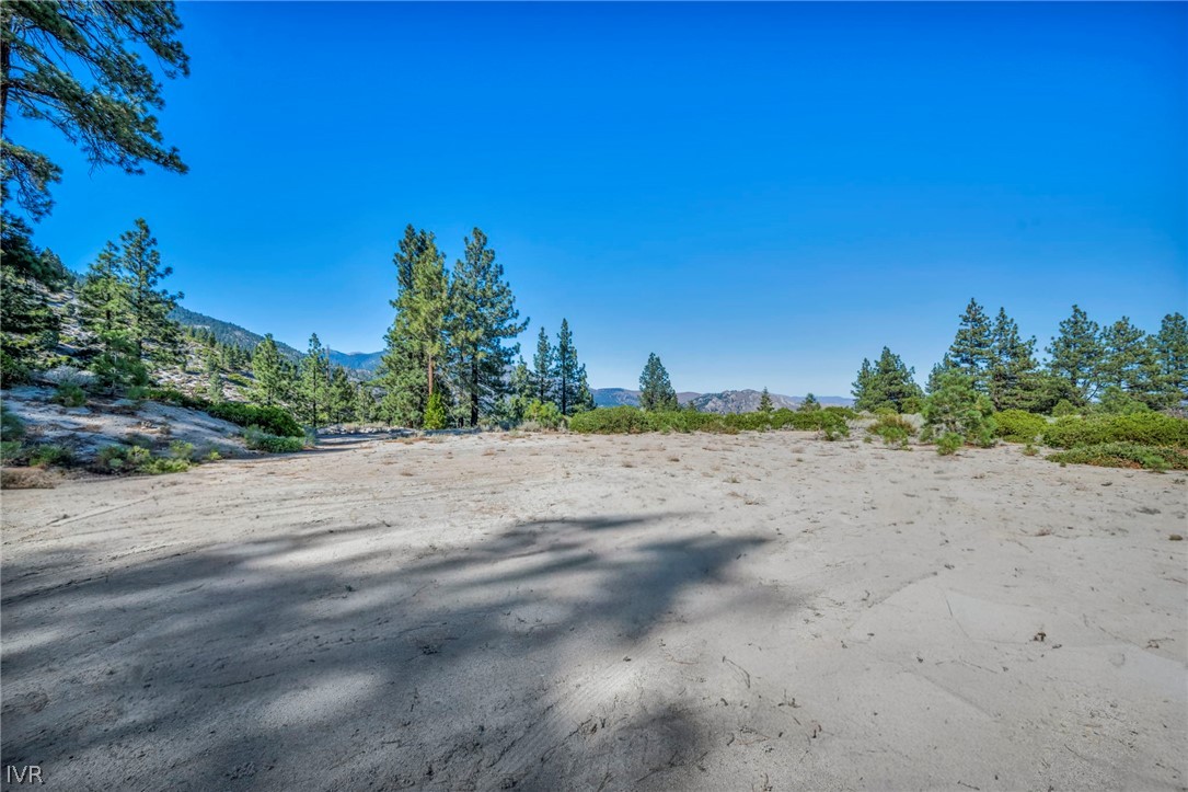 Vacant sandy lot bordered by pines, with mountains in the distance.