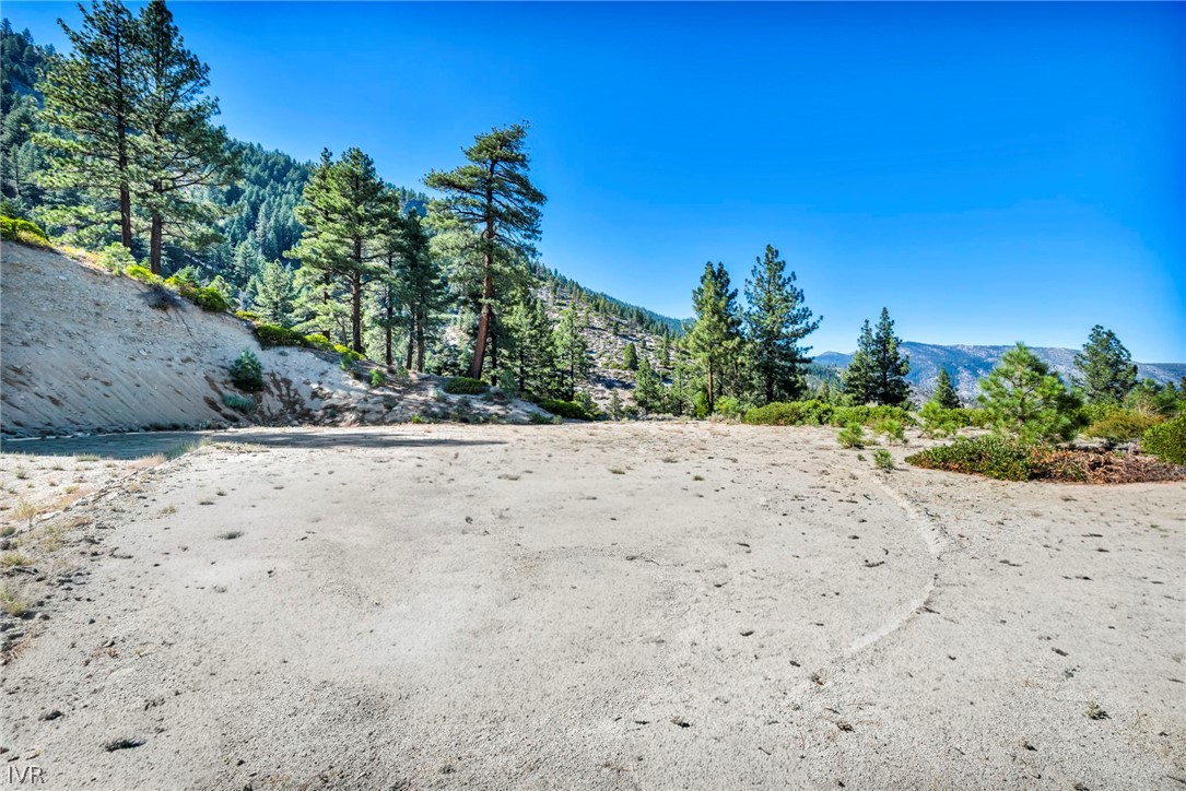 Vacant sandy lot with pine trees and distant mountain views.
