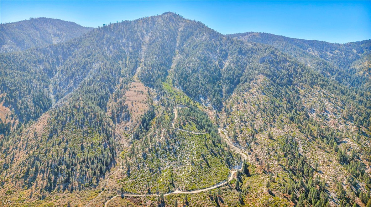 Aerial view of rugged, wooded mountains and a winding dirt road near Jacks Valley.