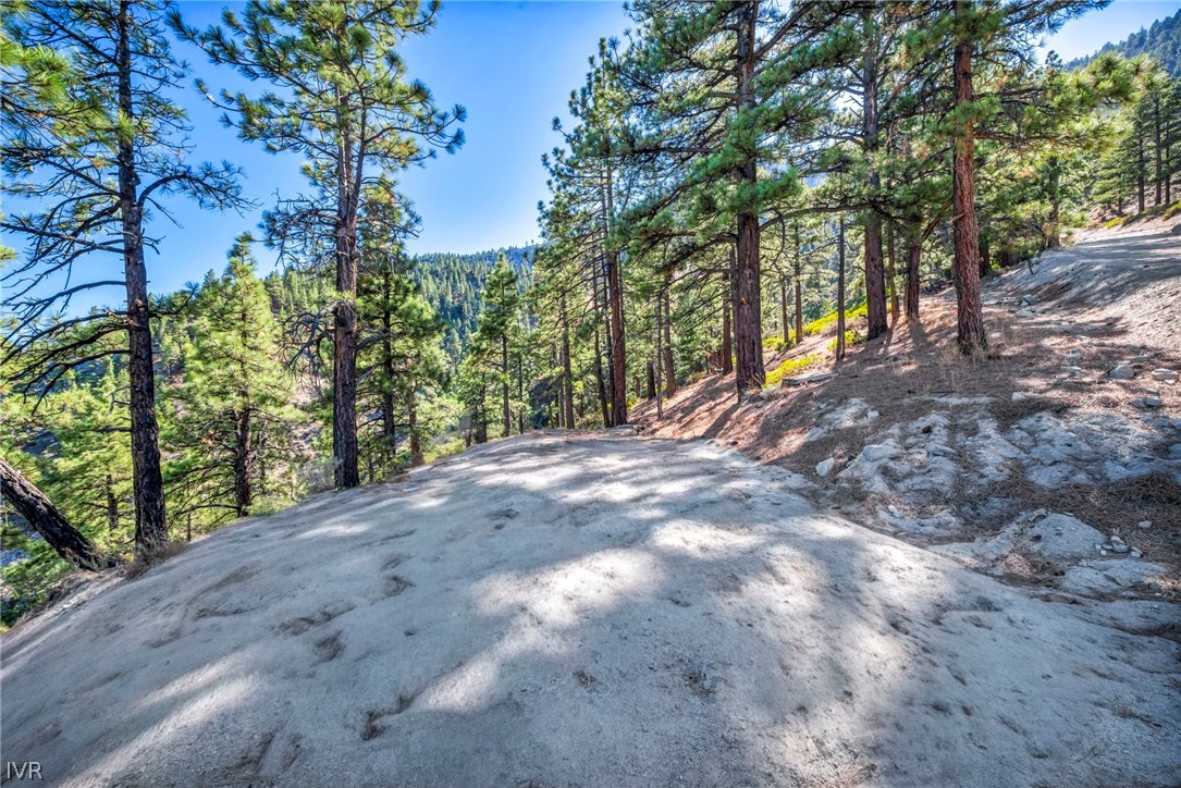Sloped wooded parcel with a dirt clearing among tall pines and a forested mountain view.