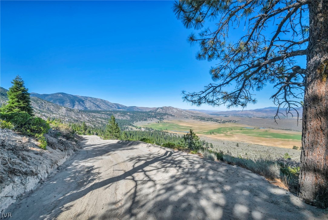 Dirt access road overlooks a broad valley and distant mountains, framed by pine trees.