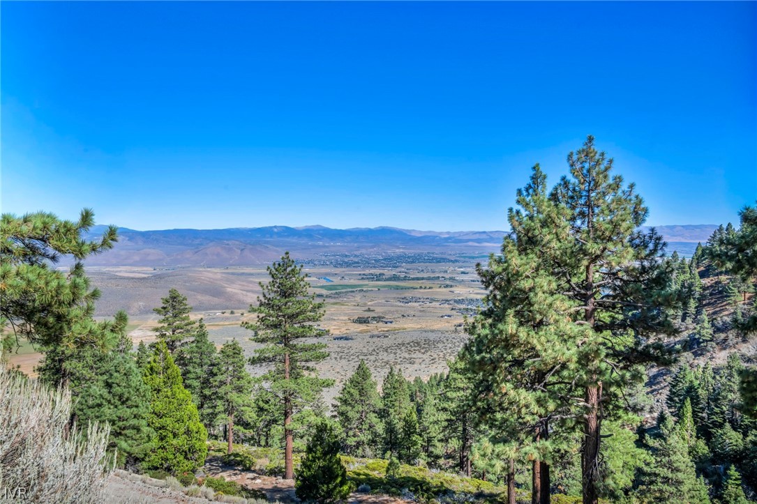 Pine-covered hillside overlooks a broad valley and distant mountain range.