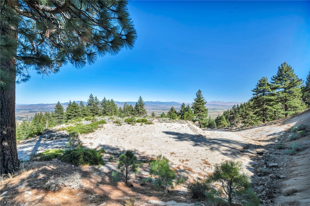 Vacant wooded lot with a sandy clearing, pine trees, and distant mountain views.