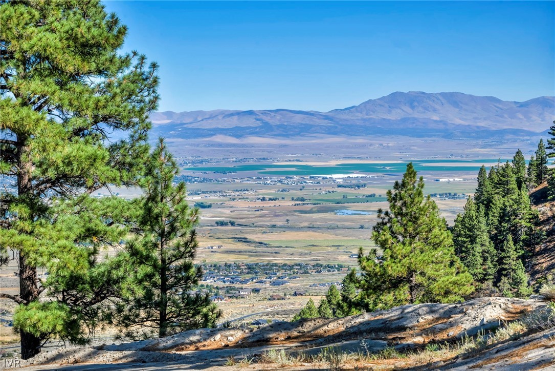 Jacks Valley stretches toward a blue reservoir and distant mountains, framed by pine trees.