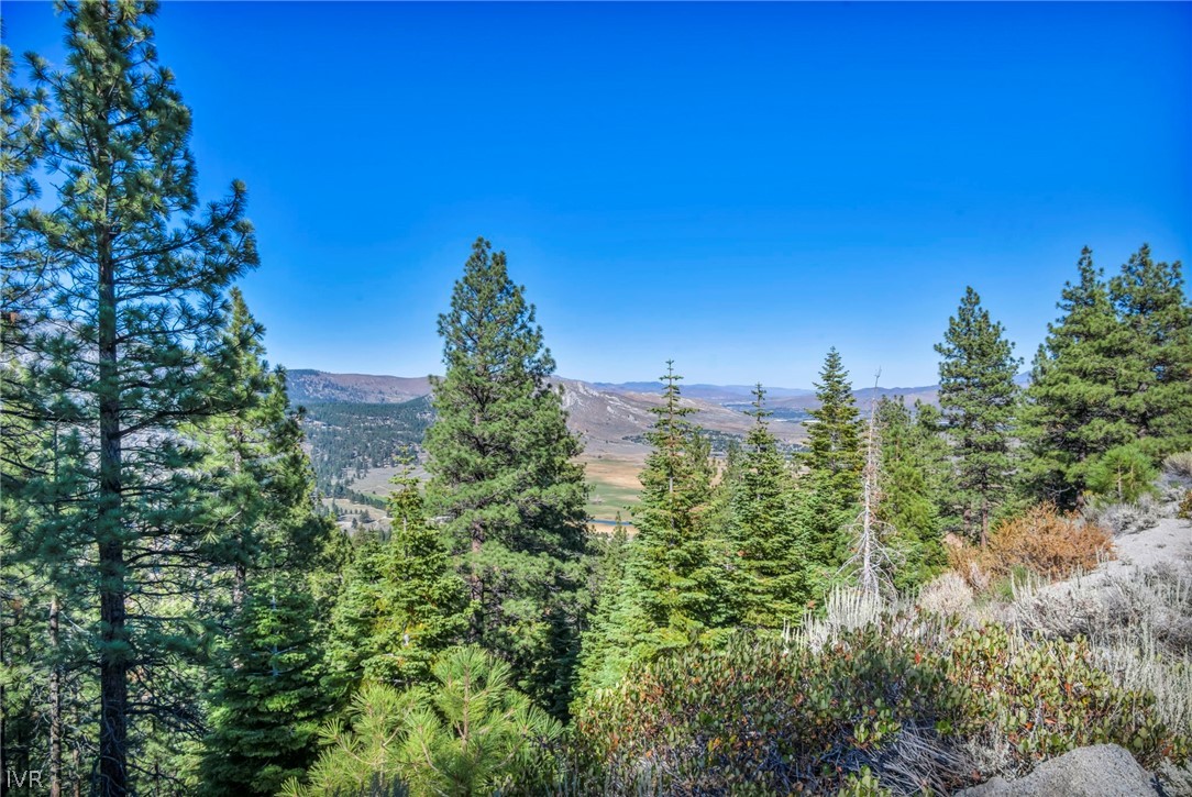 Wooded mountain valley with evergreen pines, open land, and distant ridgelines.