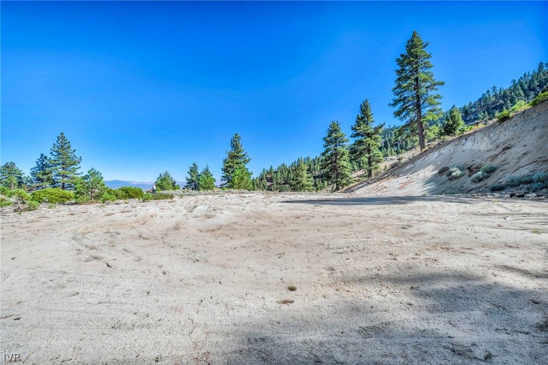 Cleared sandy lot bordered by pine trees and a wooded hillside.