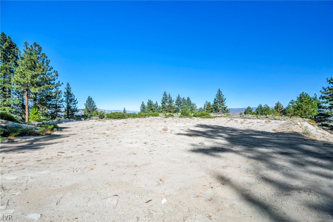 Vacant sandy lot bordered by pine trees, with distant hills and a clear blue sky.