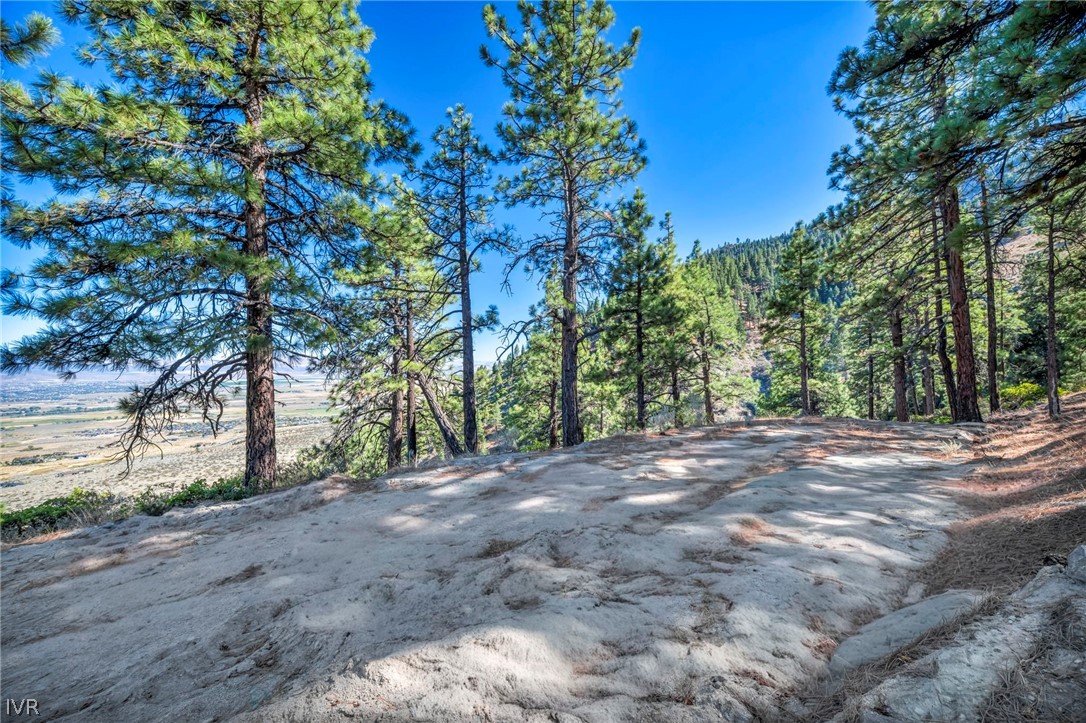 Wooded hillside lot with a dirt clearing and valley views beyond the pine trees.