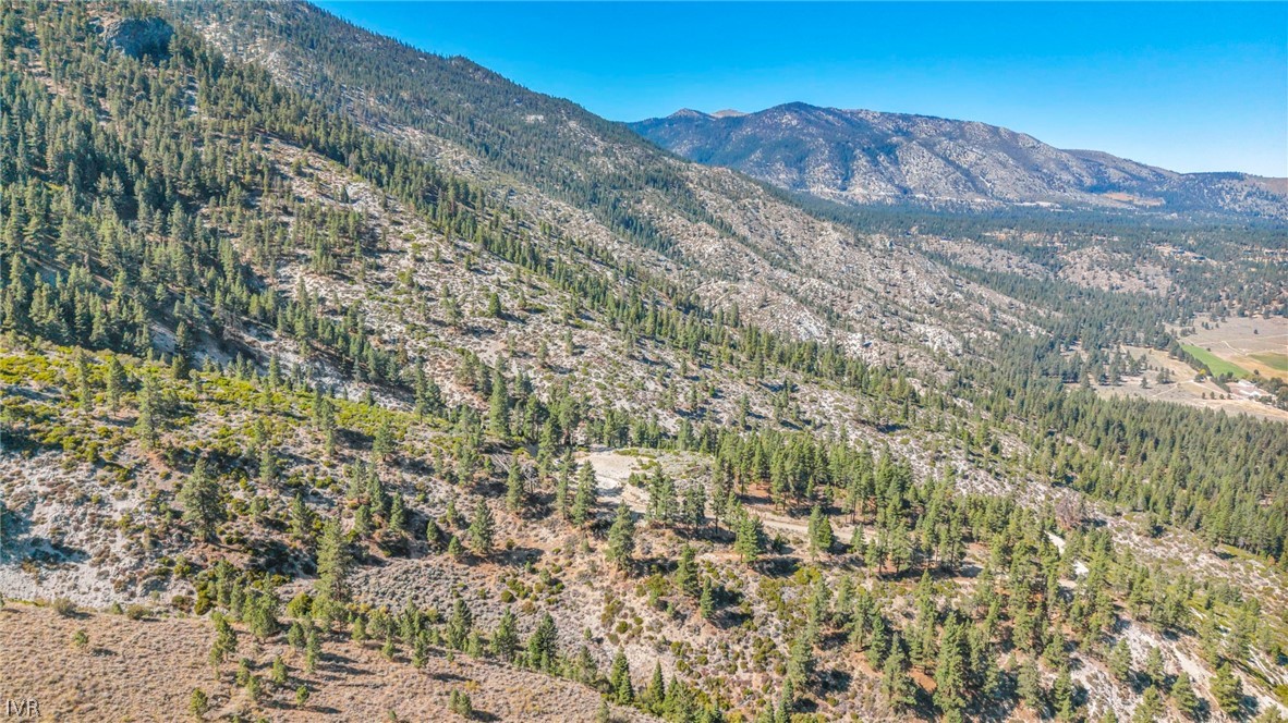 Aerial view of rugged, undeveloped land below forested mountains in a broad valley.