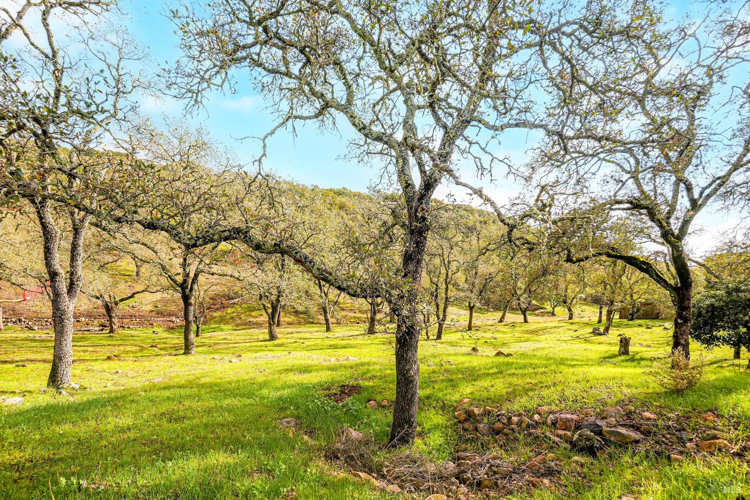 5335 Boulder Ridge Court