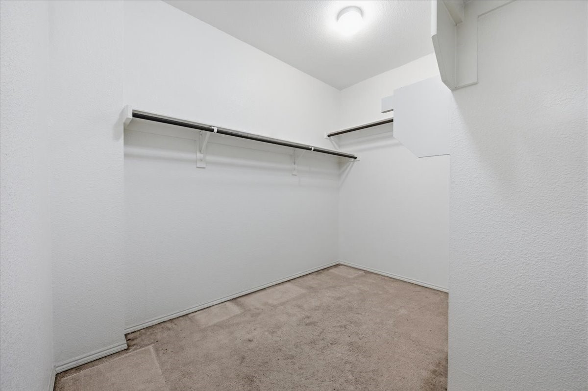 3010 Cassinia Parkway