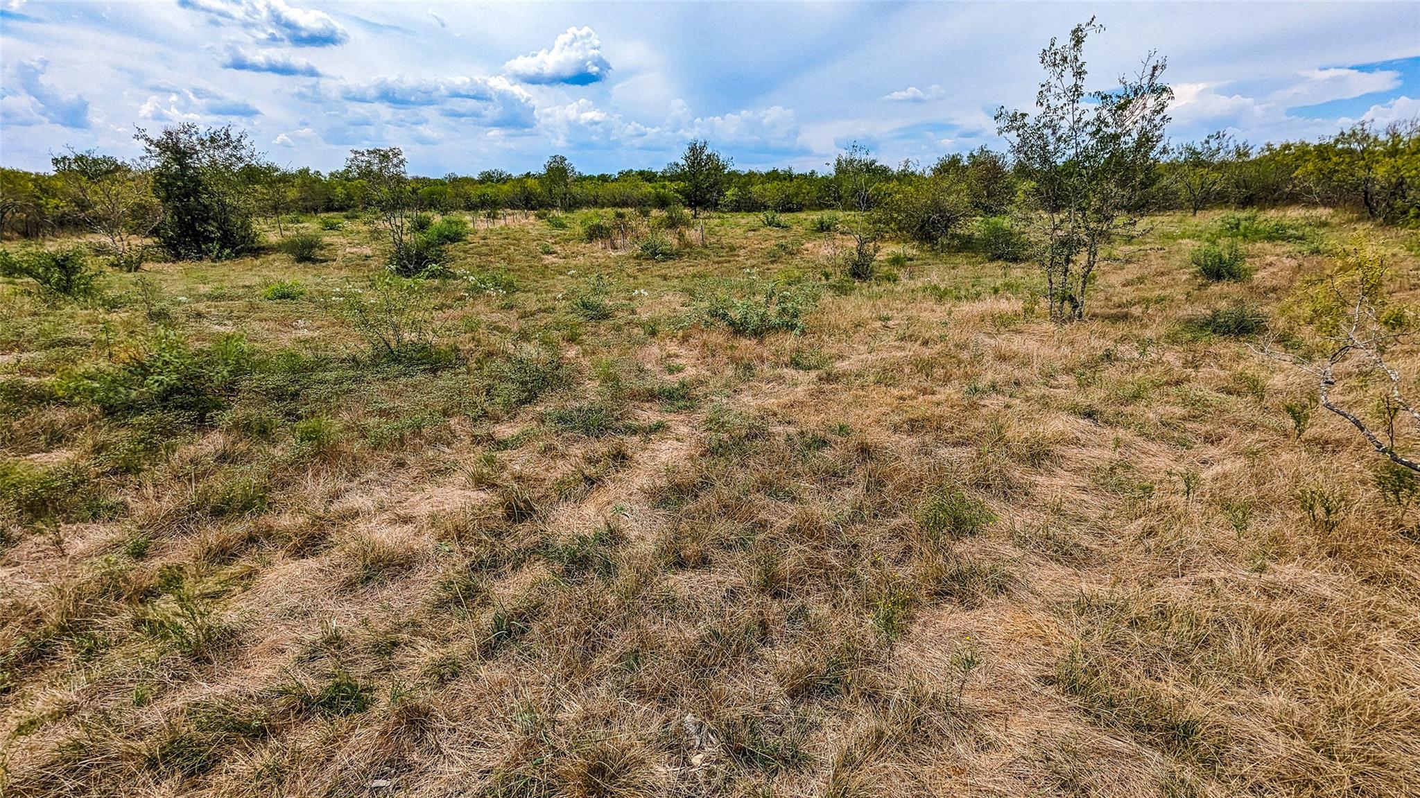 000 Pleasant Hill RD