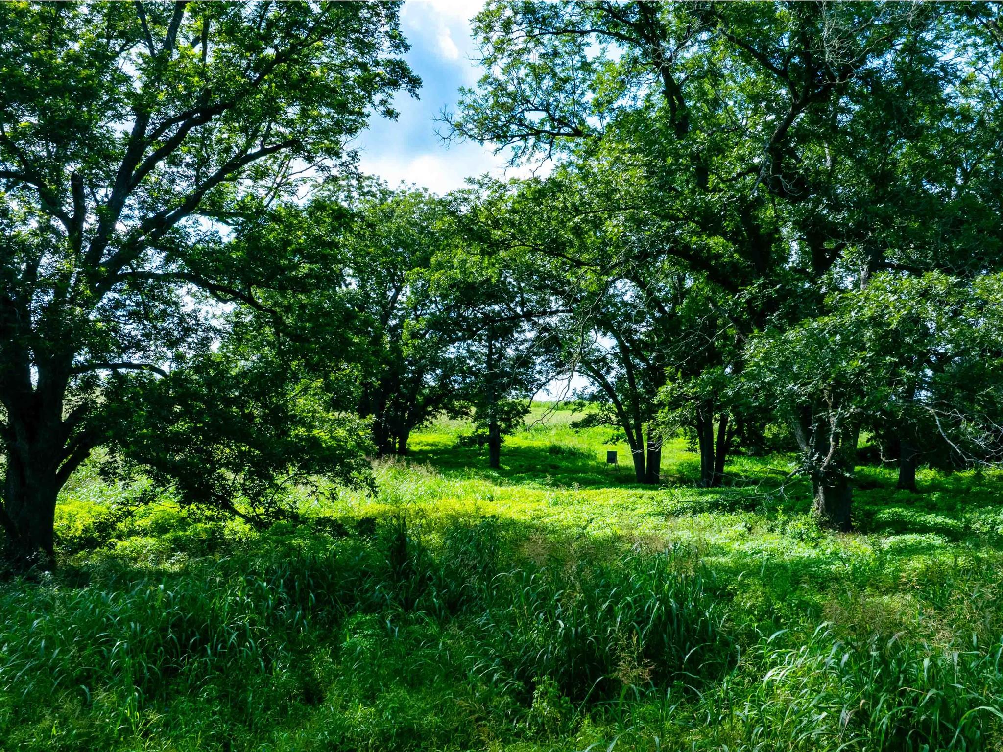 663 NW Loop 230