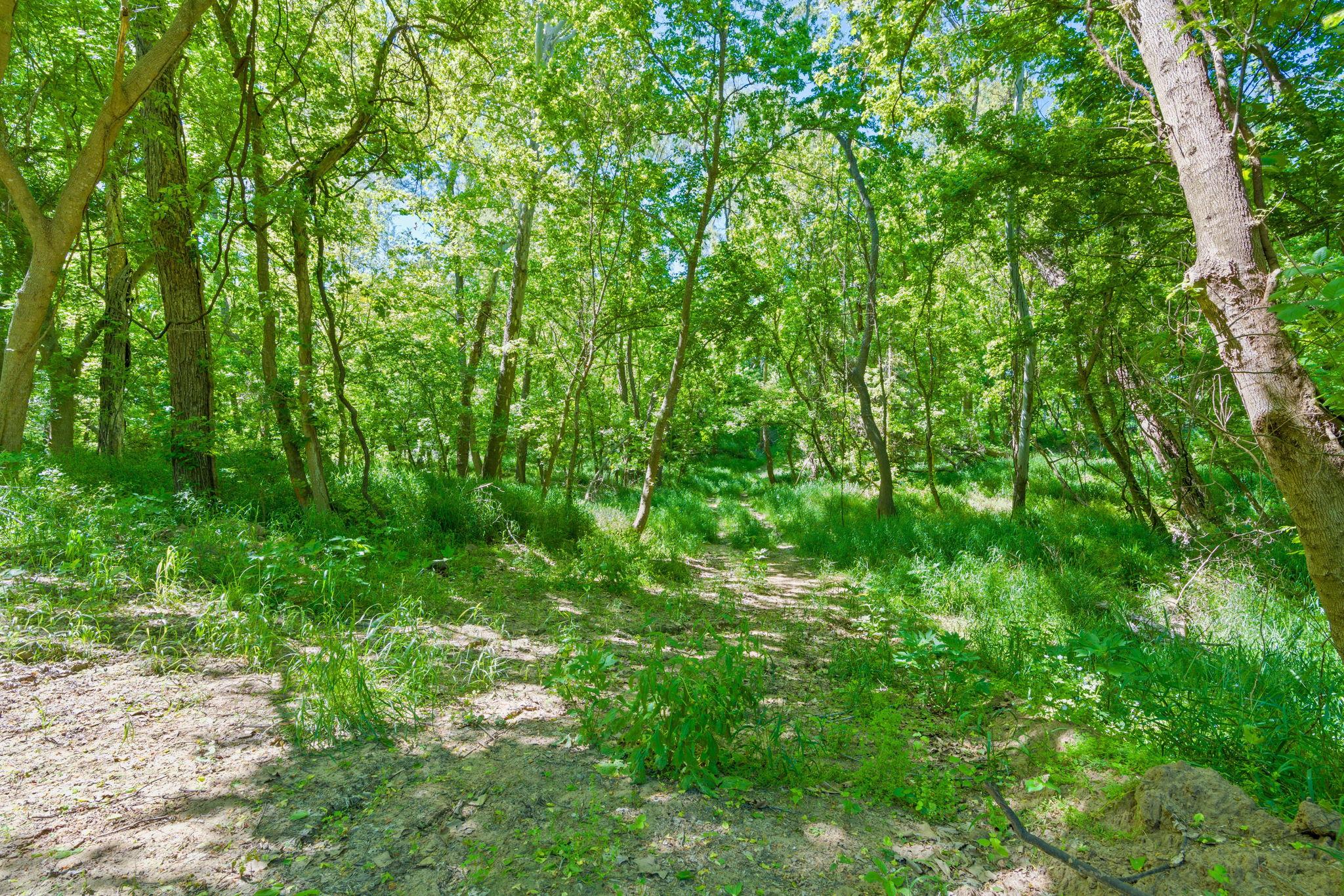 663 NW Loop 230 (48 ACRES)