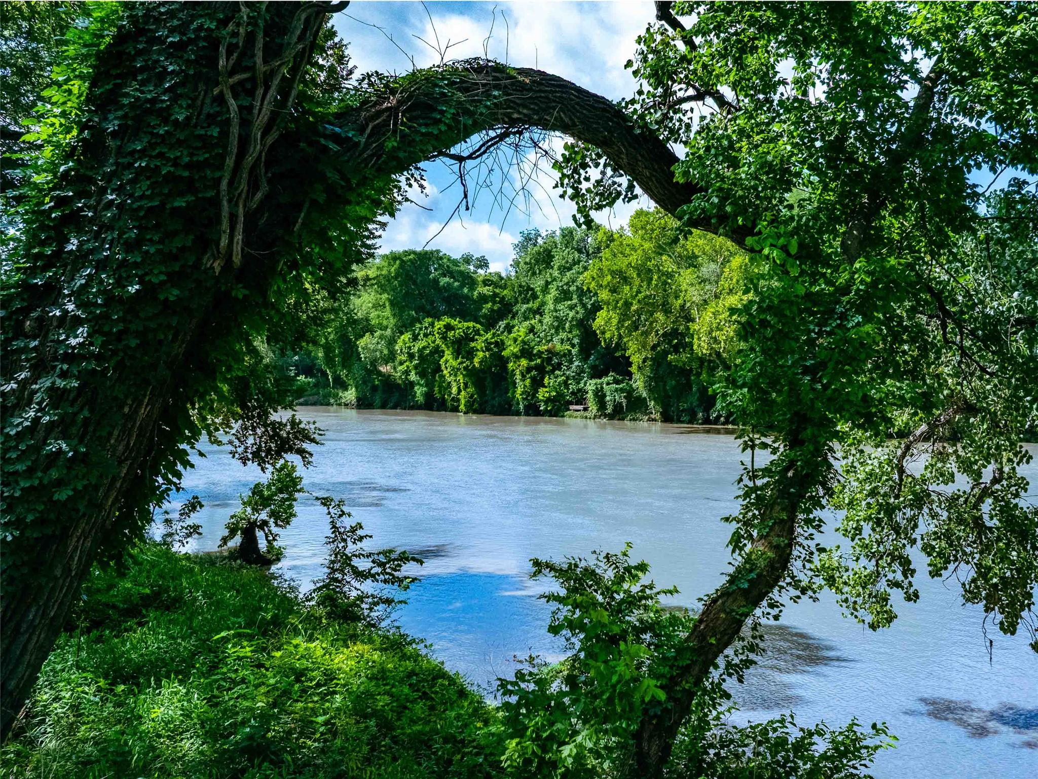 663 NW Loop 230 (48 ACRES)