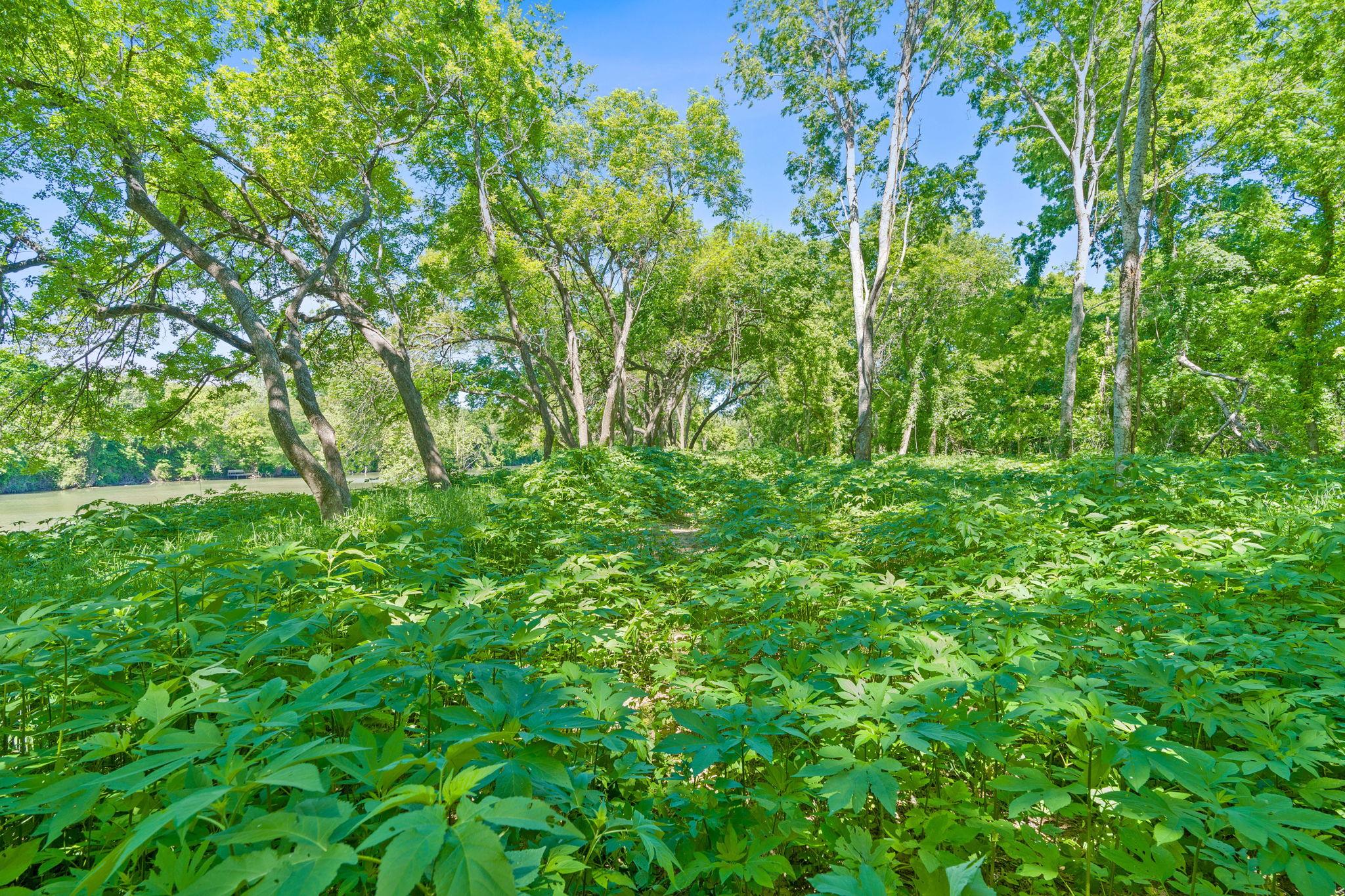 663 NW Loop 230 (48 ACRES)