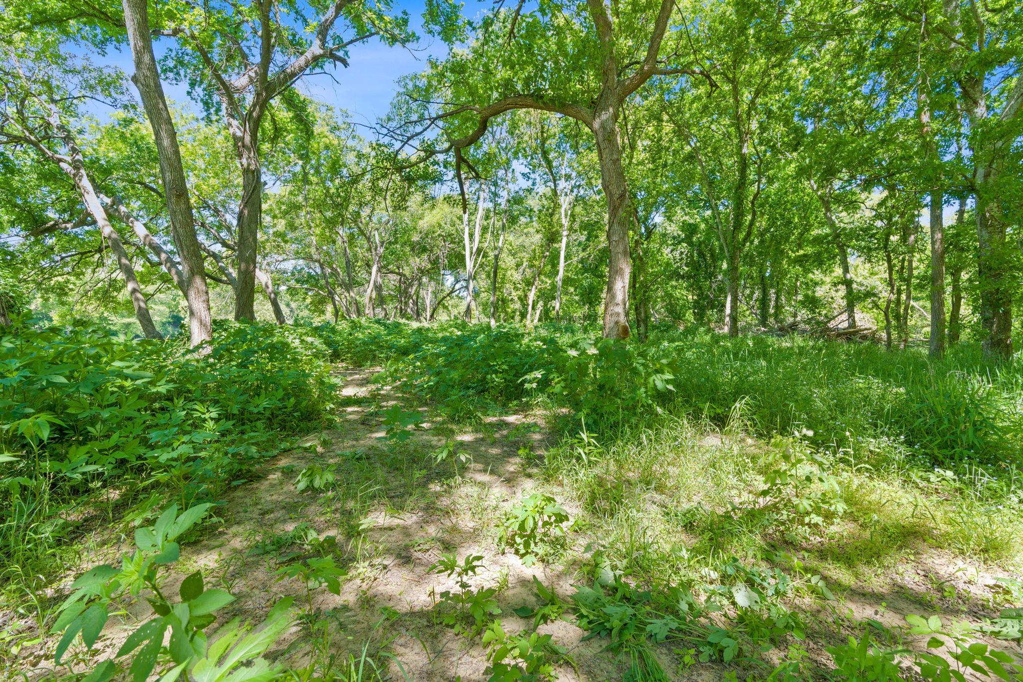 663 NW Loop 230 (48 ACRES)