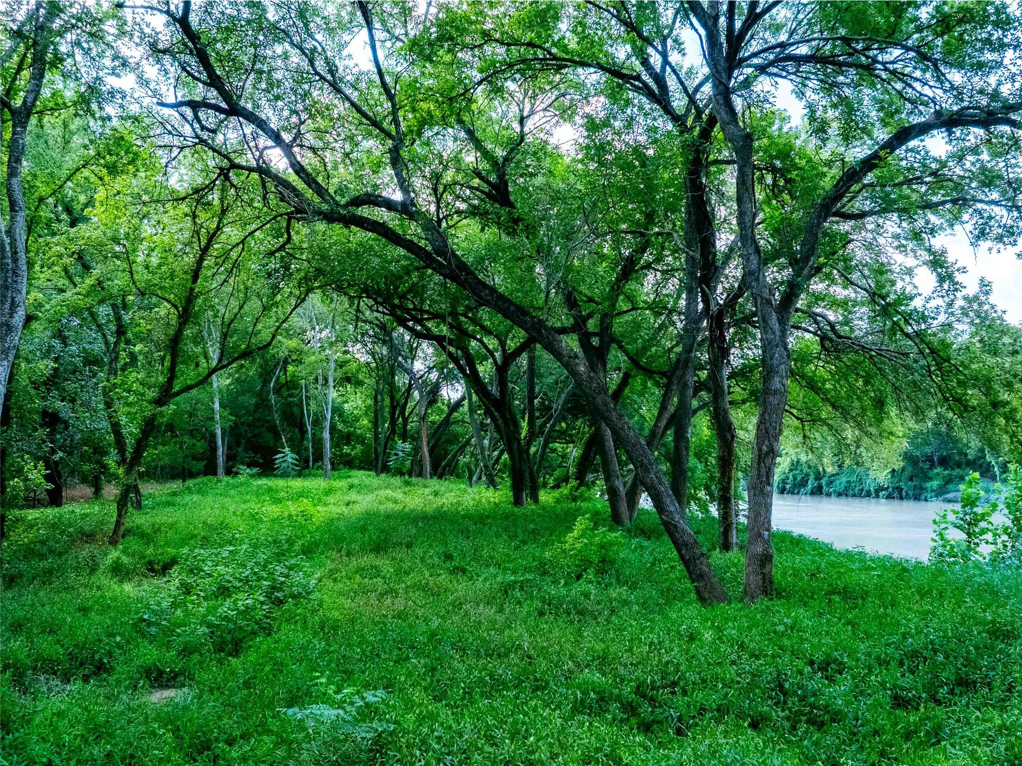663 NW Loop 230 (48 ACRES)
