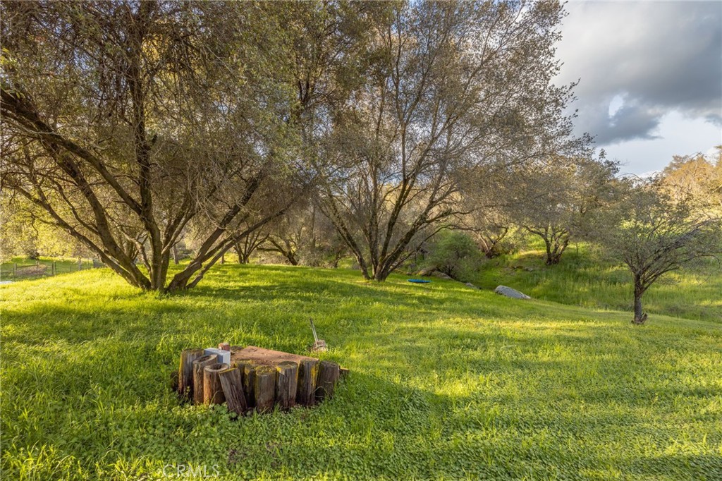 43317 Running Deer Court