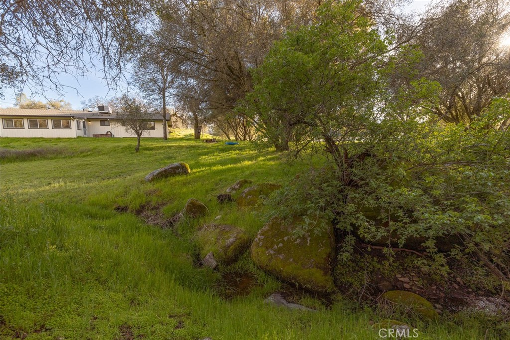 43317 Running Deer Court